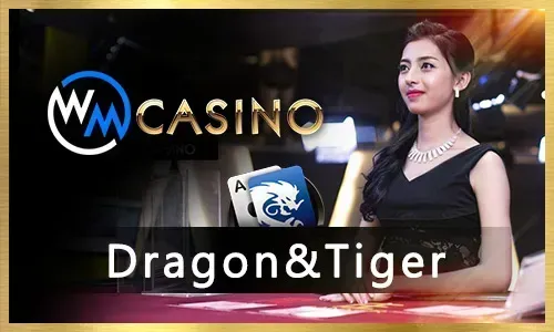SS777 Bingo Mobile App Experience