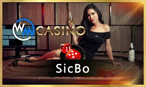 Expert Tips for SS777 Blackjack Players
